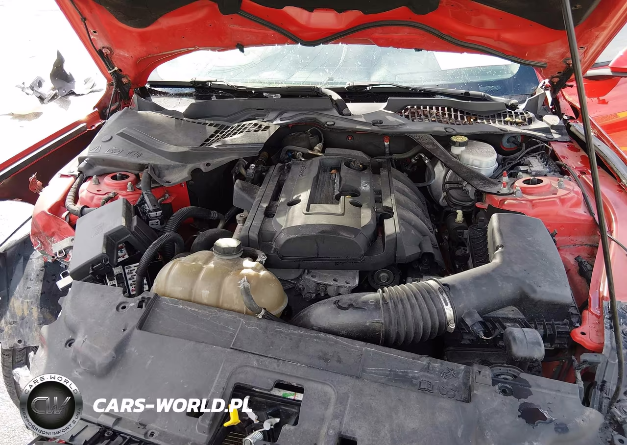 2019 Ford Mustang Ecoboost Premium VIN:1FATP8UHXK5129558 - 10