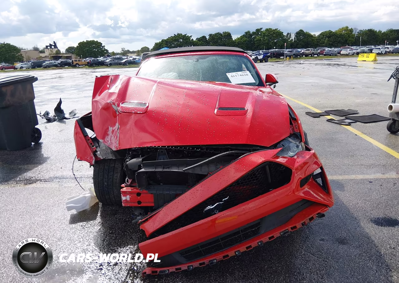 2019 Ford Mustang Ecoboost Premium VIN:1FATP8UHXK5129558 - 12