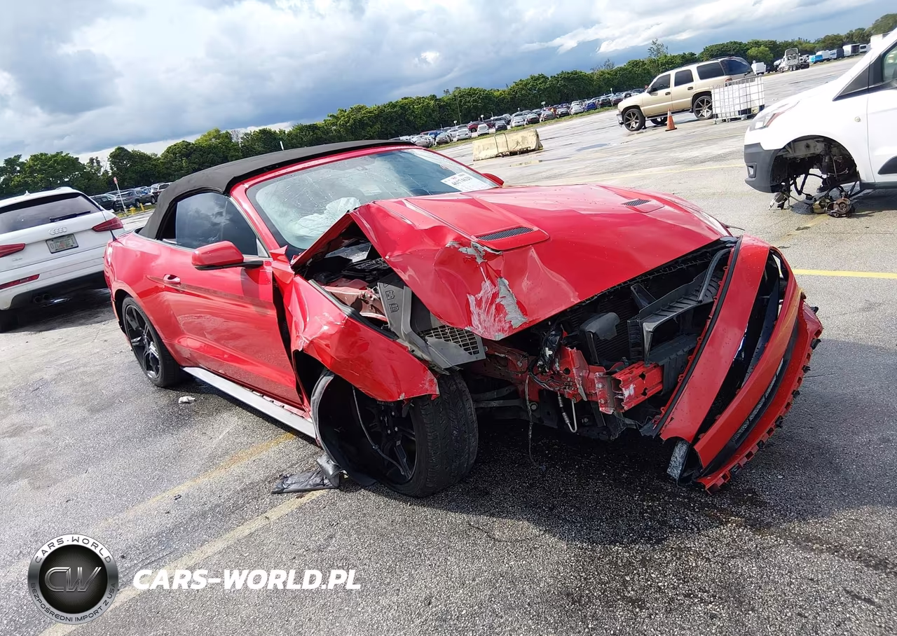 2019 Ford Mustang Ecoboost Premium VIN:1FATP8UHXK5129558 - 6