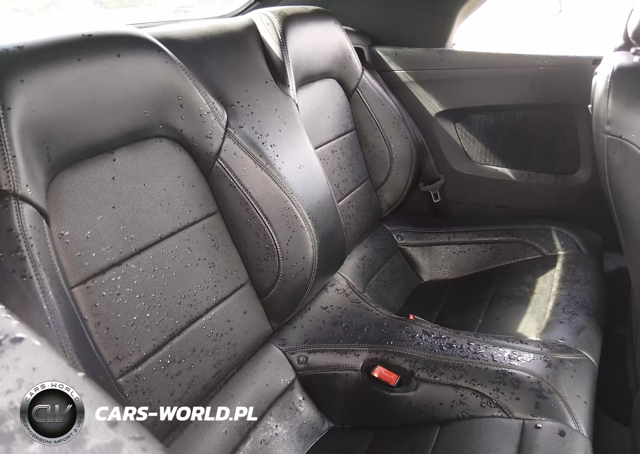 2019 Ford Mustang Ecoboost Premium VIN:1FATP8UHXK5129558 - 8