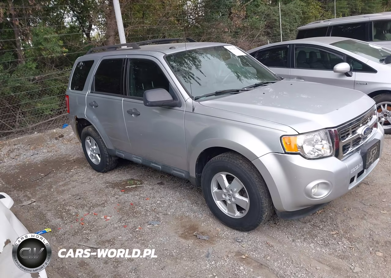 2010 Ford Escape Xlt