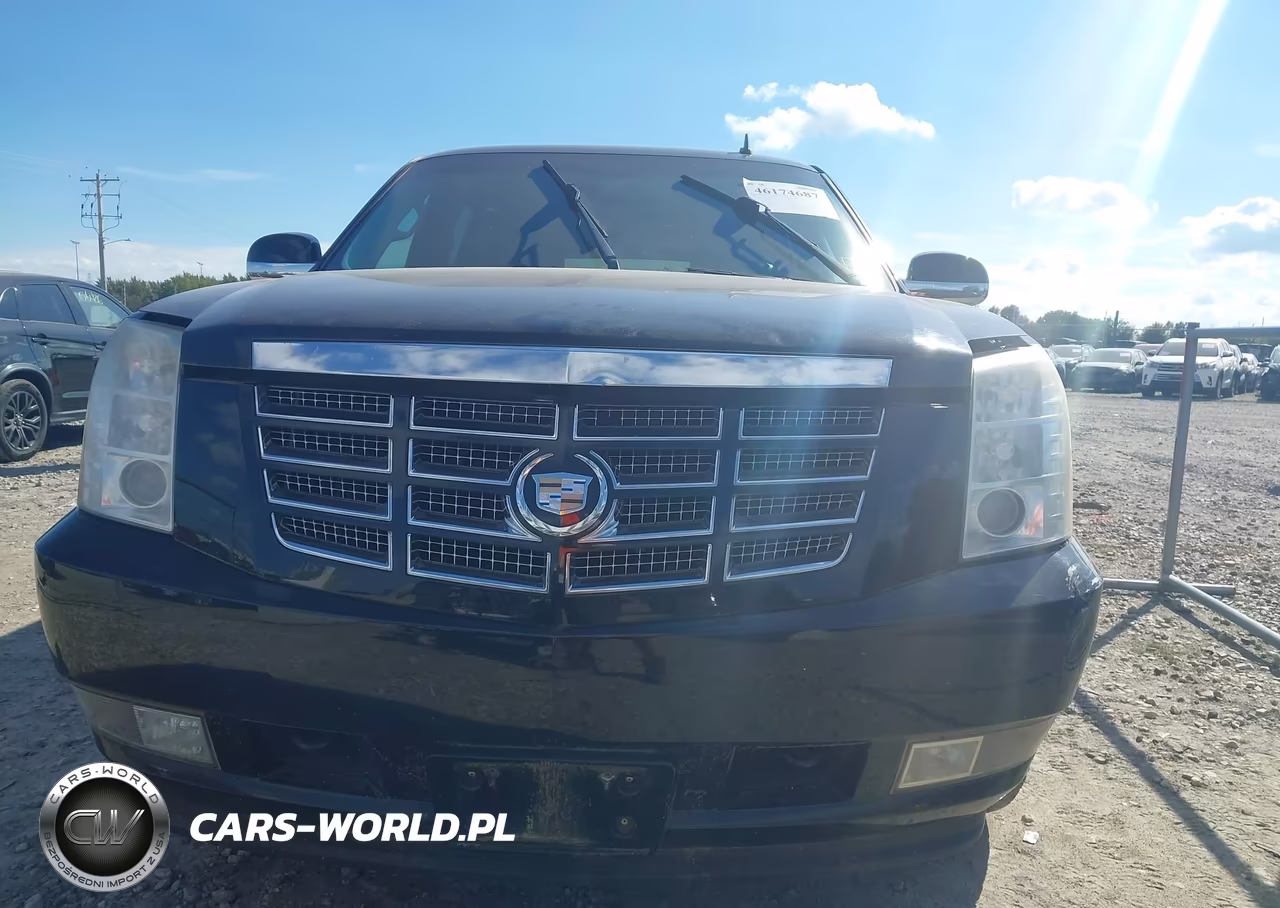 2009 Cadillac Escalade Esv Standard VIN:1GYFK26219R245689 - 12
