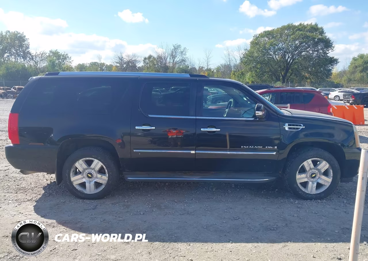 2009 Cadillac Escalade Esv Standard VIN:1GYFK26219R245689 - 13