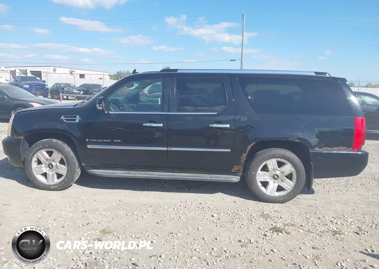 2009 Cadillac Escalade Esv Standard VIN:1GYFK26219R245689 - 14