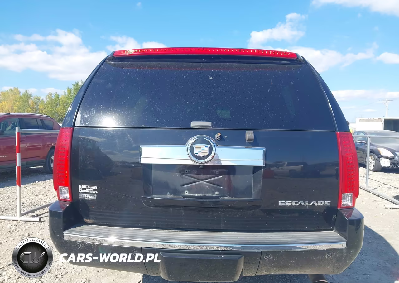 2009 Cadillac Escalade Esv Standard VIN:1GYFK26219R245689 - 16