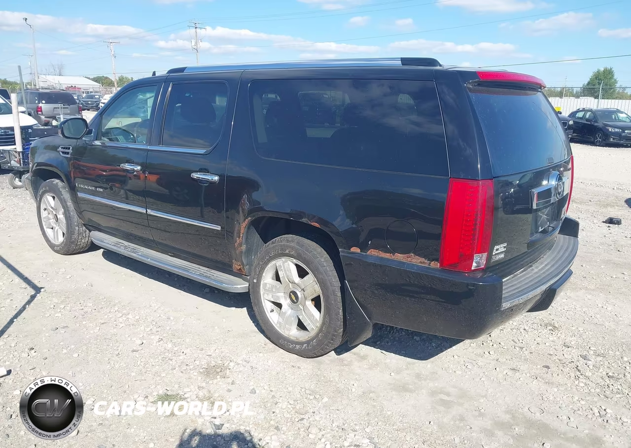 2009 Cadillac Escalade Esv Standard VIN:1GYFK26219R245689 - 3