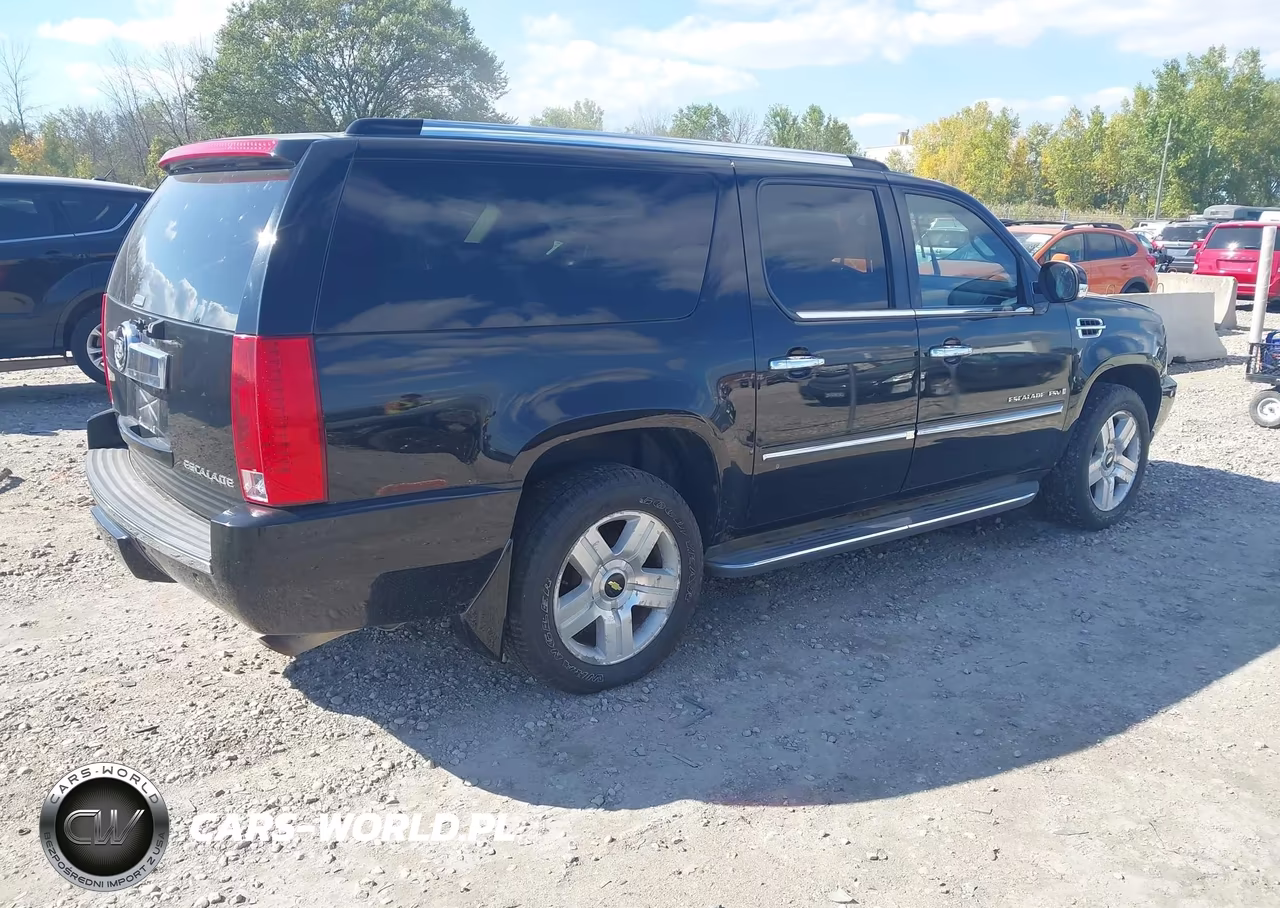 2009 Cadillac Escalade Esv Standard VIN:1GYFK26219R245689 - 4