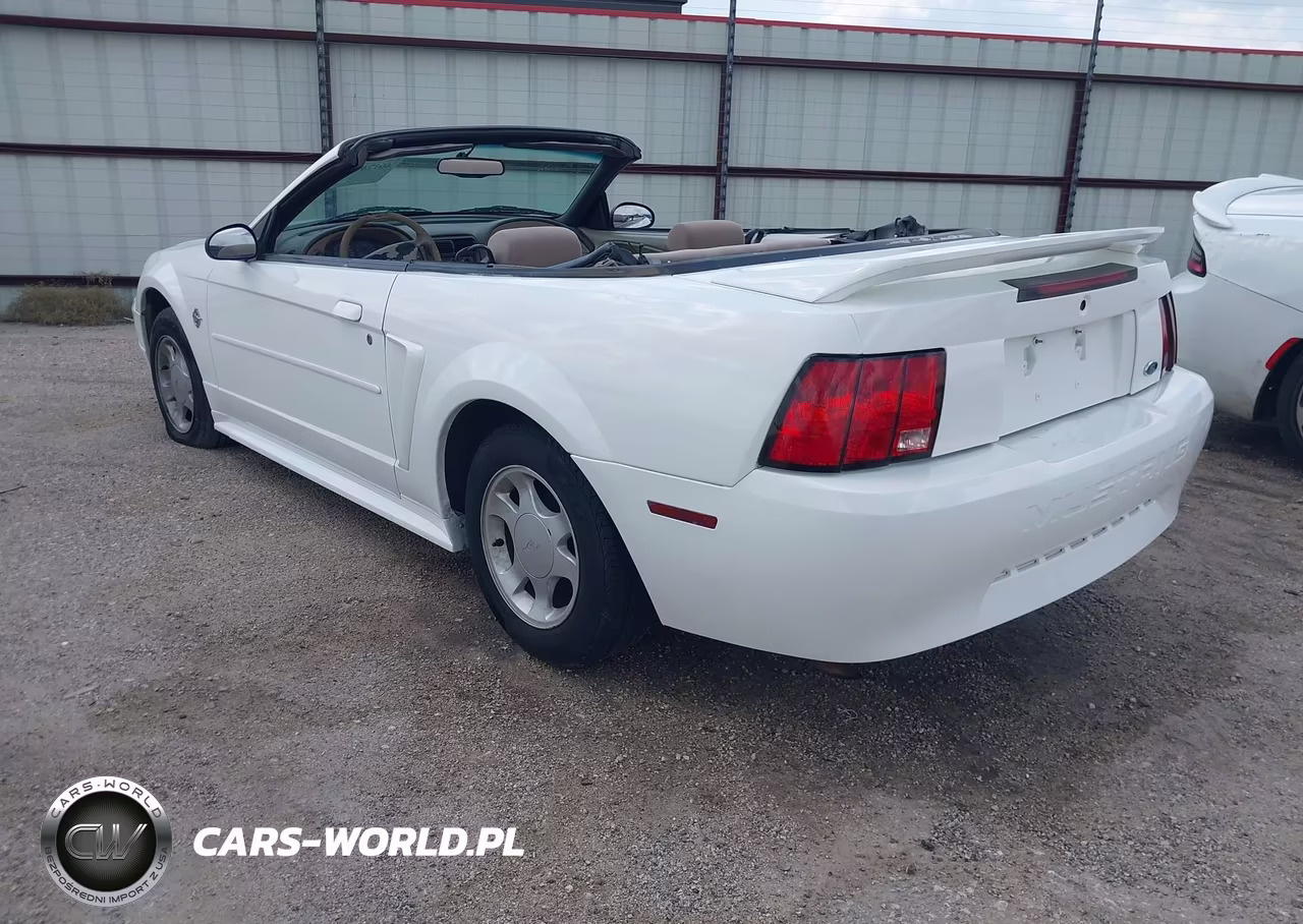 1999 Ford Mustang VIN:1FAFP4444XF144190 - 3