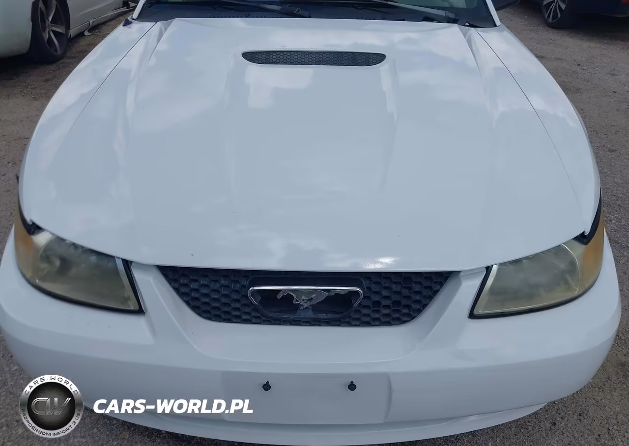 1999 Ford Mustang VIN:1FAFP4444XF144190 - 6