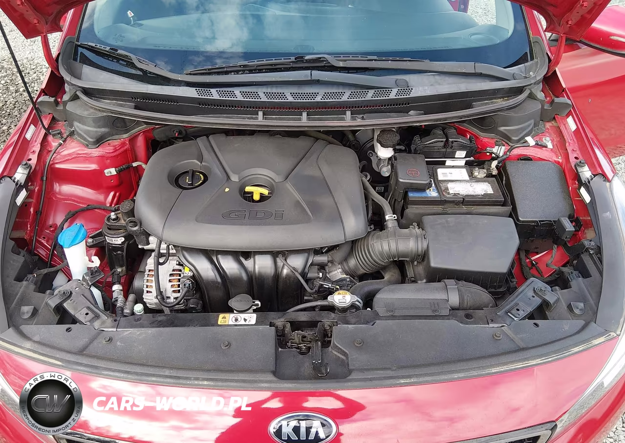 2017 Kia Forte Lx VIN:KNAFK5A87H5685292 - 10