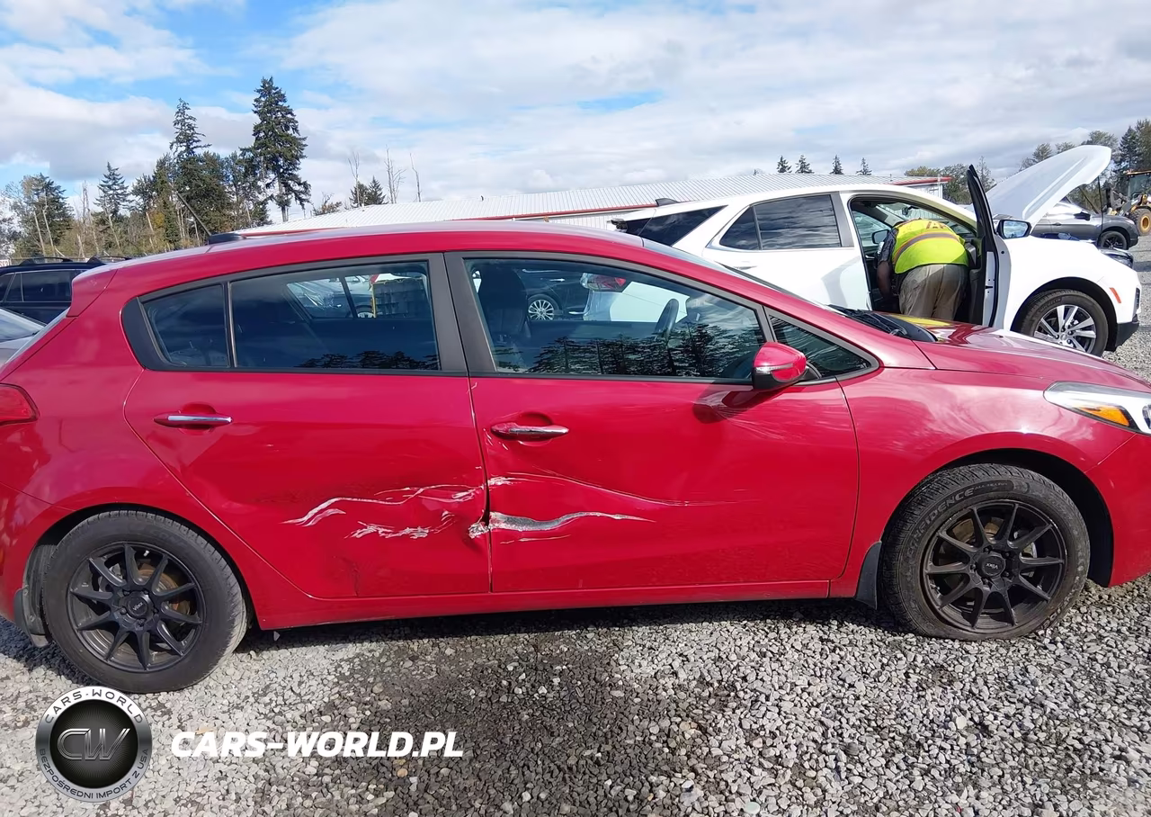 2017 Kia Forte Lx VIN:KNAFK5A87H5685292 - 13