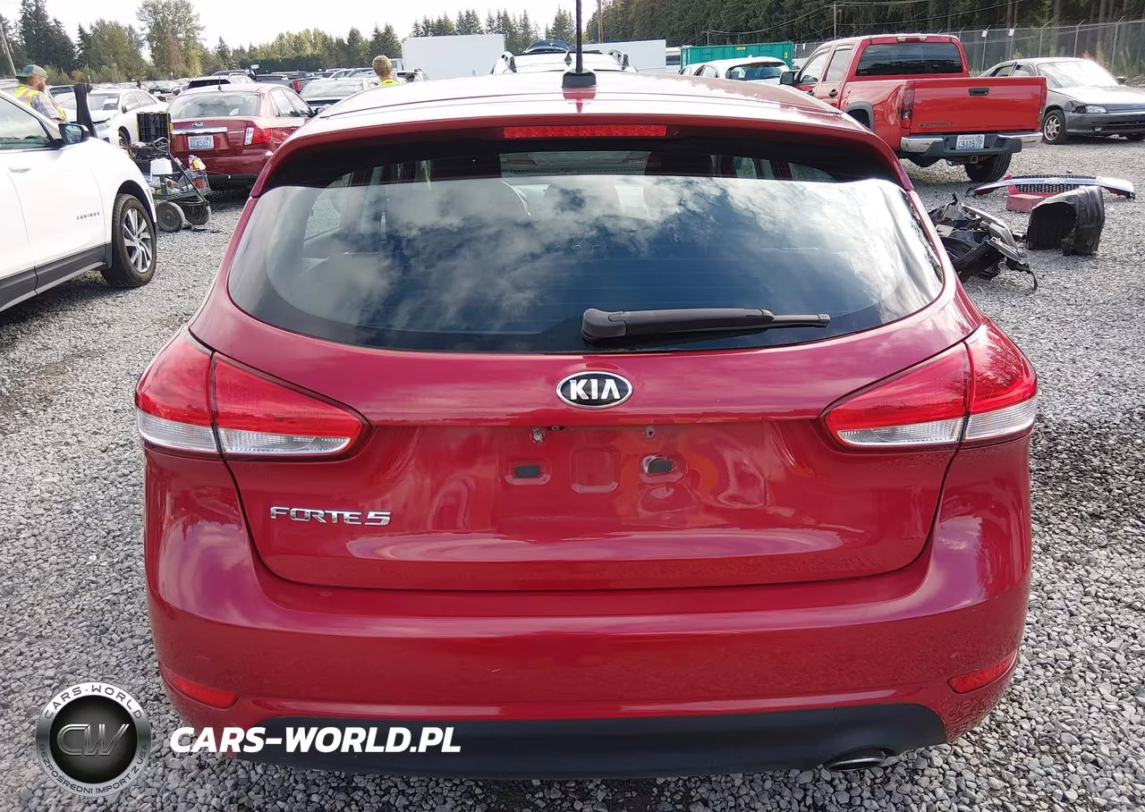 2017 Kia Forte Lx VIN:KNAFK5A87H5685292 - 16