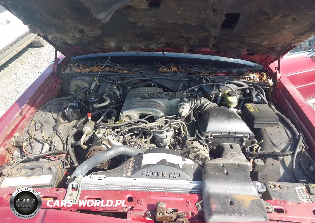 1991 Ford Crown Victoria Lx VIN:2FACP74F5MX186339 - 10