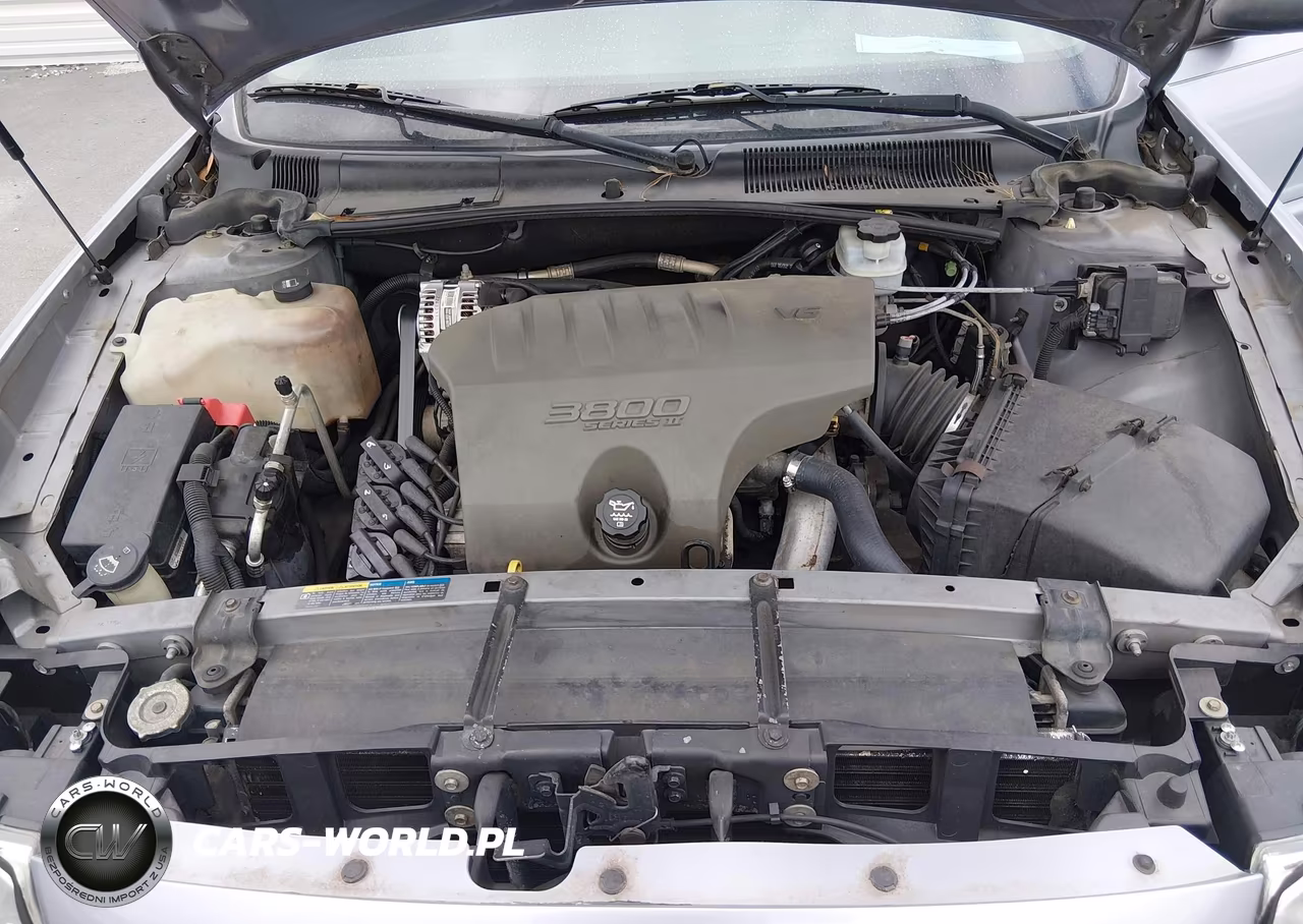 2004 Buick Lesabre Limited VIN:1G4HR54K14U199085 - 10