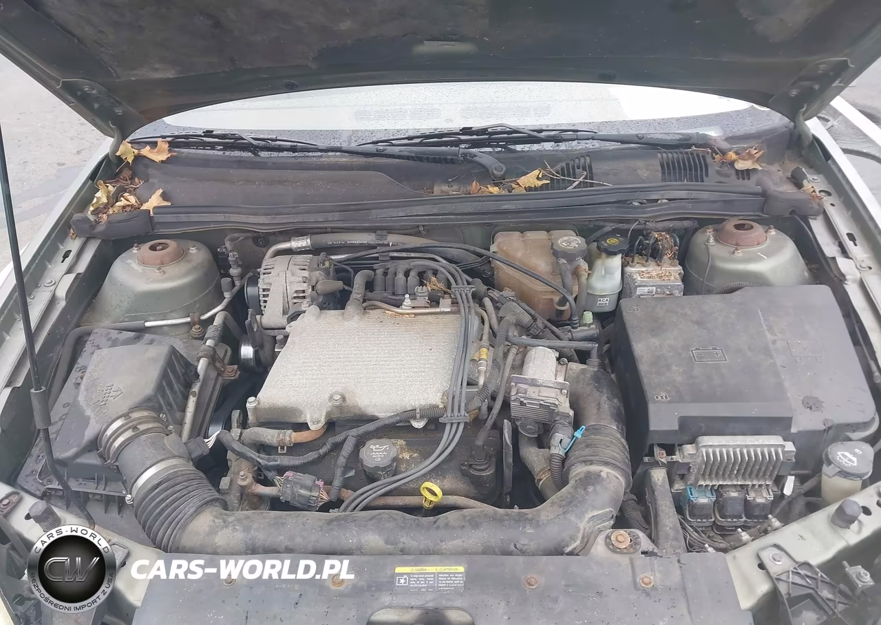 2005 Chevrolet Malibu Maxx Ls VIN:1G1ZT64845F148263 - 10