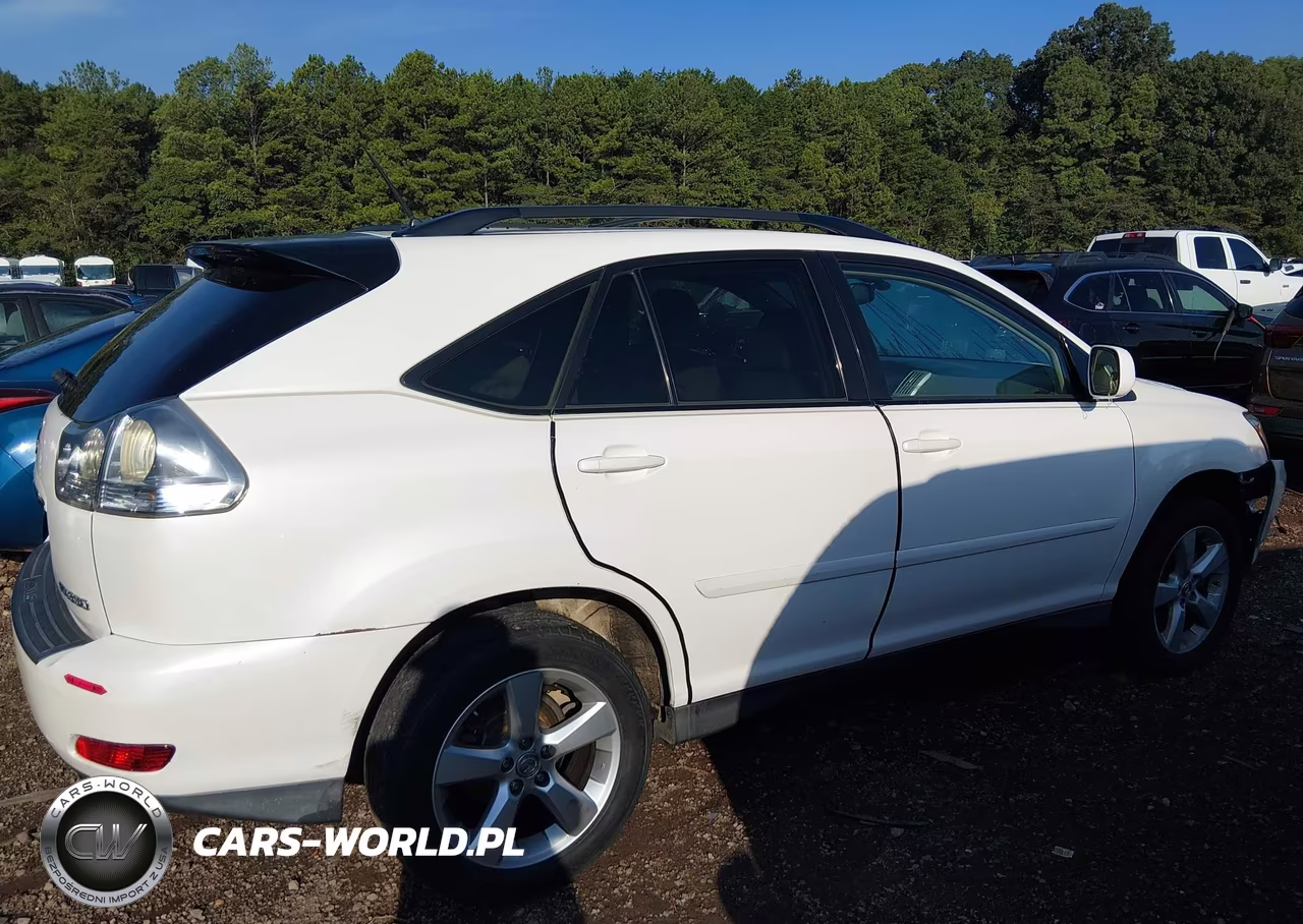 2007 Lexus Rx 350 VIN:2T2GK31U07C004928 - 13