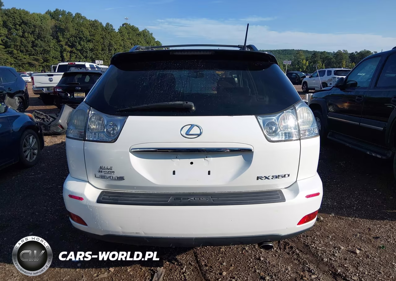2007 Lexus Rx 350 VIN:2T2GK31U07C004928 - 16