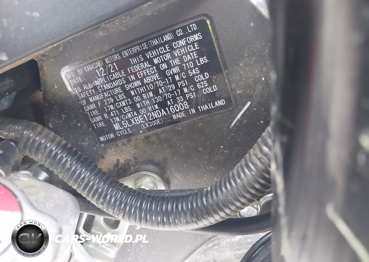 2022 Kawasaki Klx300 E VIN:ML5LXBE12NDA16008 - 10