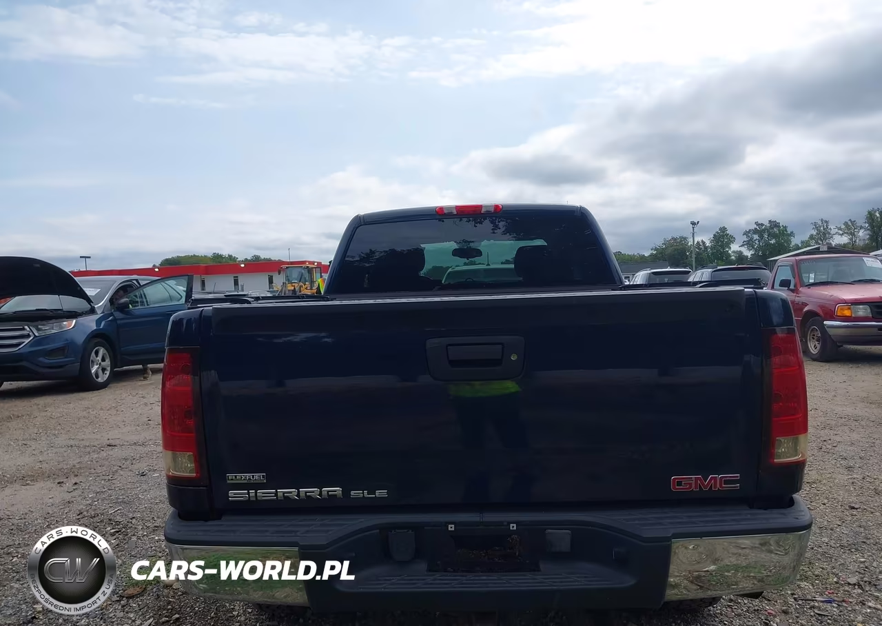 2009 GMC Sierra 1500 Sle VIN:1GTEK29009Z294782 - 16