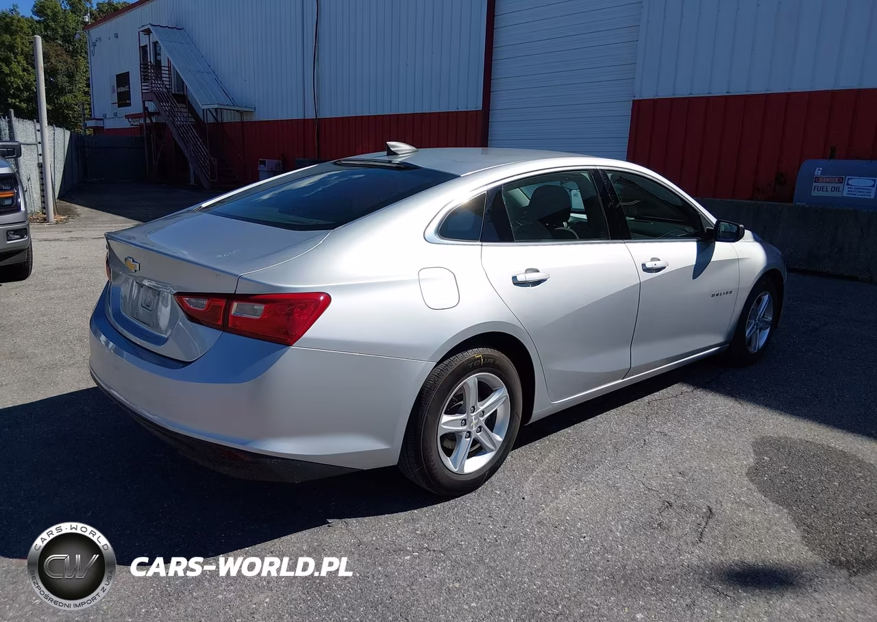 2020 Chevrolet Malibu Fwd 1Fl VIN:1G1ZC5ST4LF000306 - 4