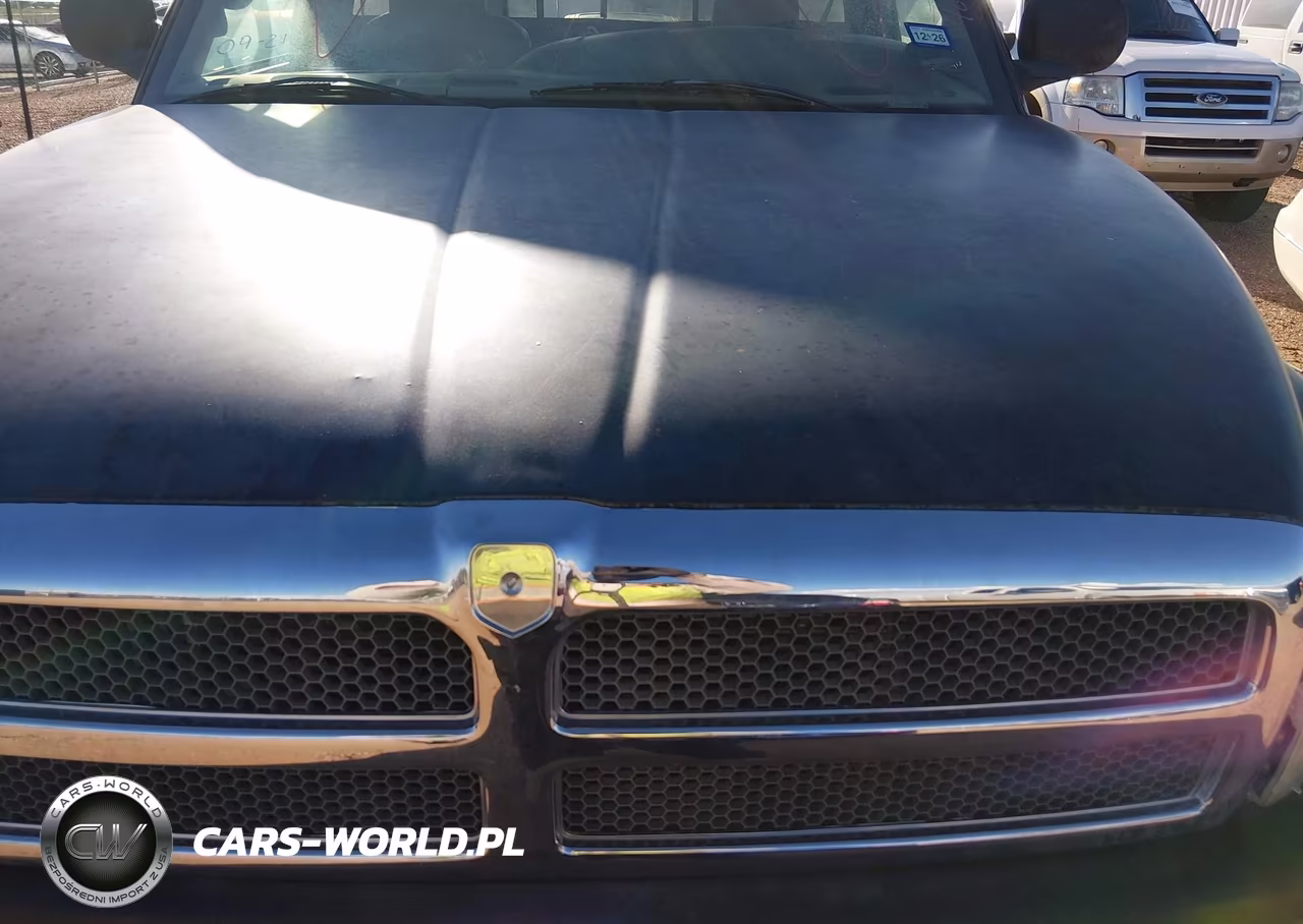 1998 Dodge Ram 1500 St VIN:1B7HF16Z9WS585820 - 10