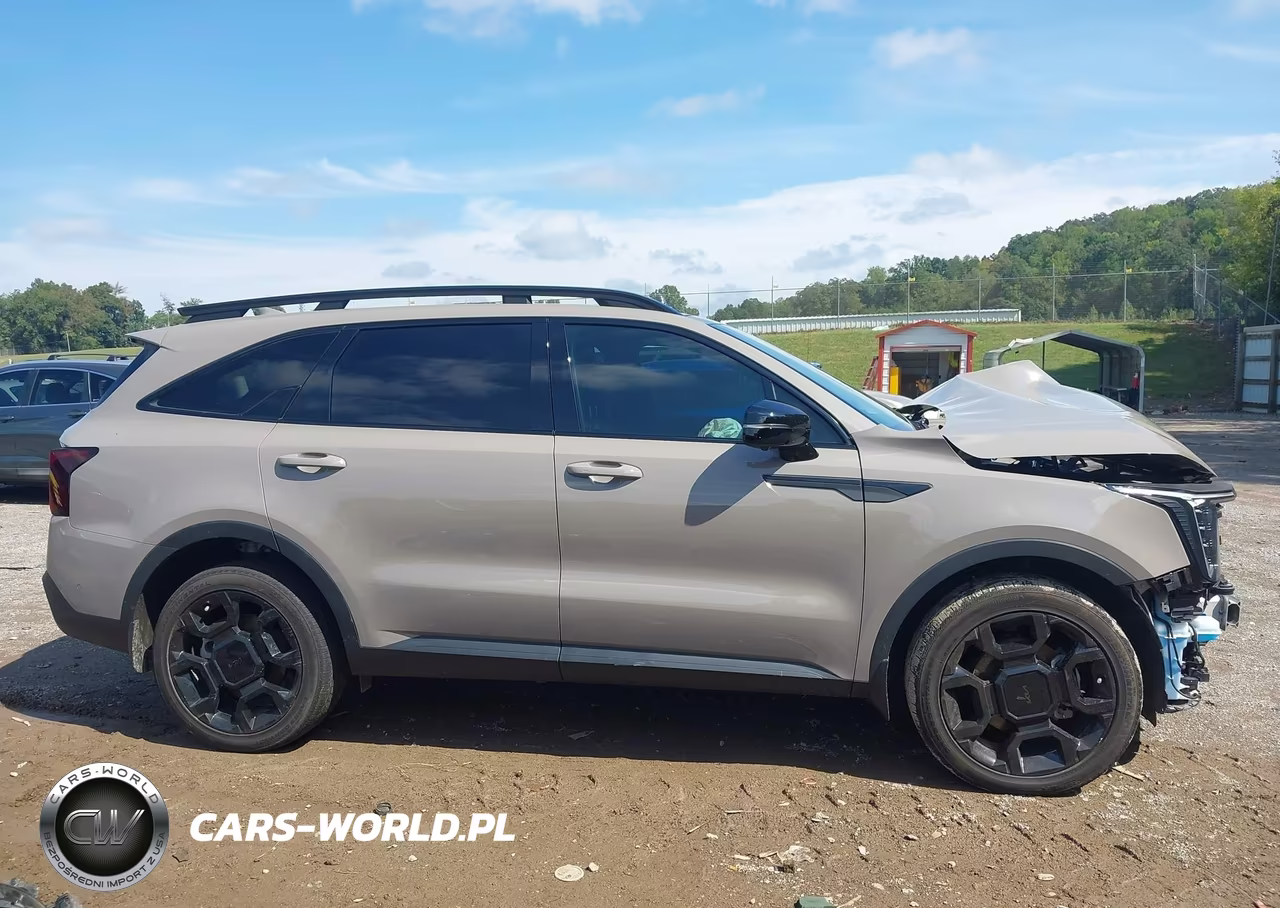 2025 Kia Sorento X-Line Sx Prestige VIN:5XYRKDJF9SG359226 - 13