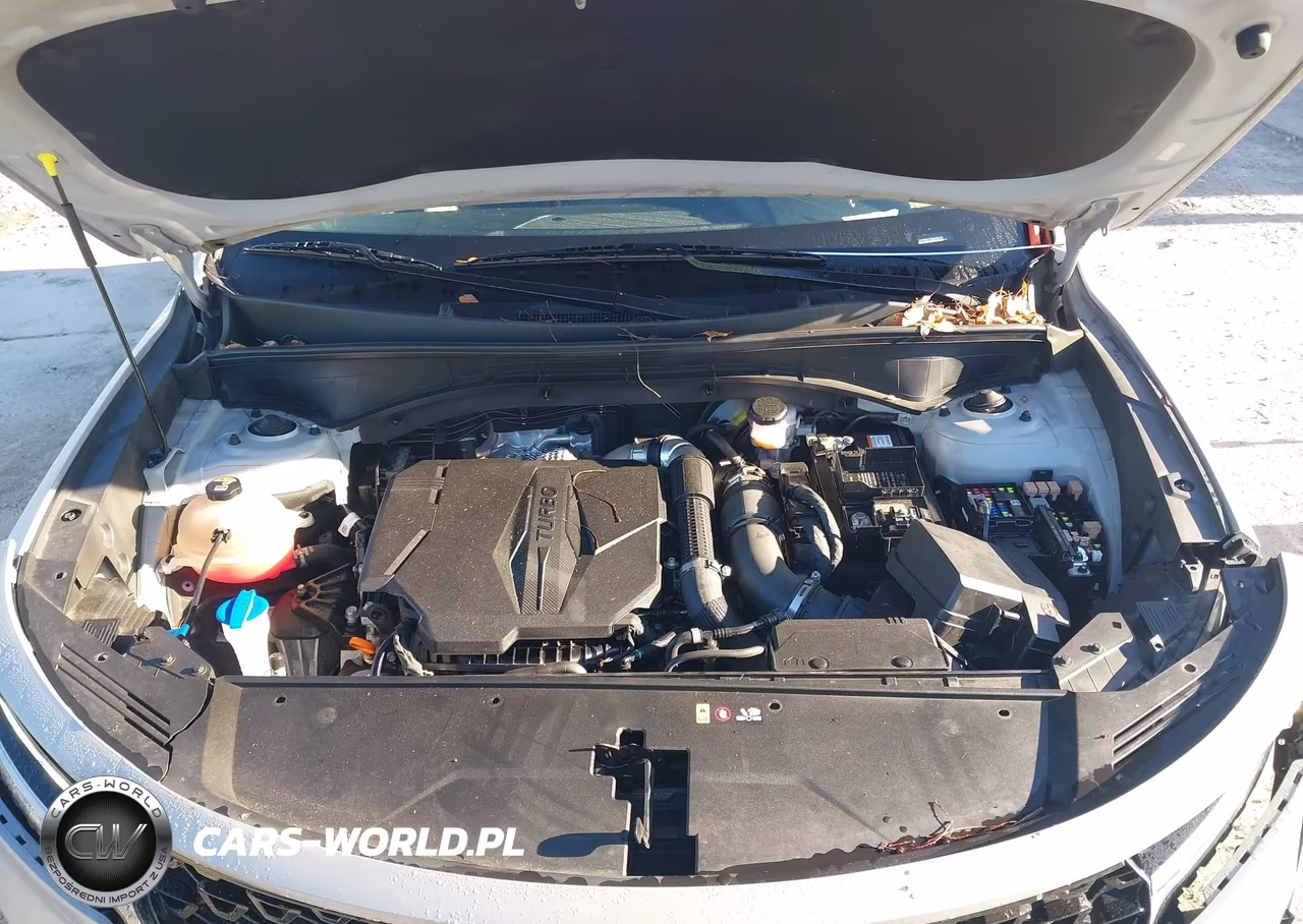 2022 Kia Sorento Sx VIN:5XYRKDLF1NG100778 - 10
