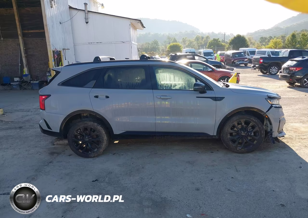 2022 Kia Sorento Sx VIN:5XYRKDLF1NG100778 - 13