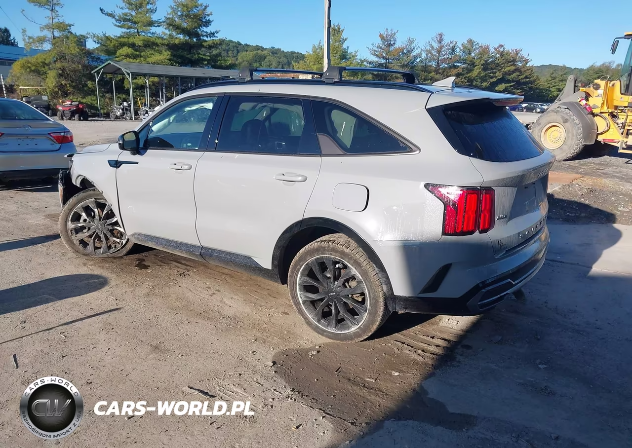 2022 Kia Sorento Sx VIN:5XYRKDLF1NG100778 - 3