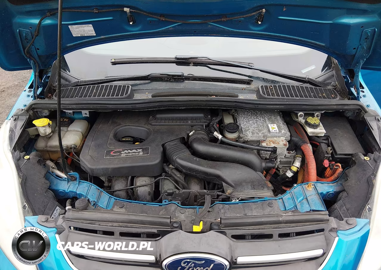 2013 Ford C-Max Energi Sel VIN:1FADP5CU3DL517831 - 10