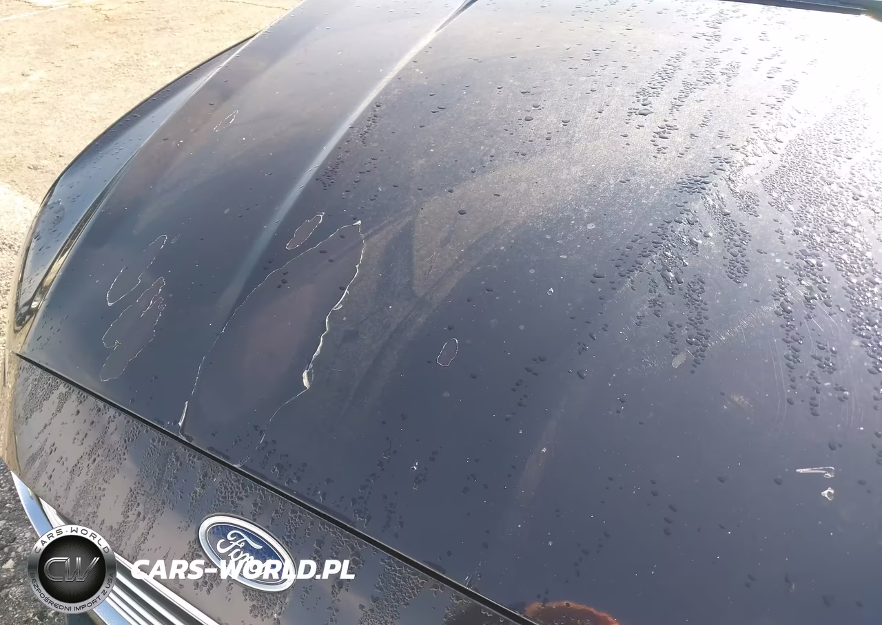 2019 Ford Fusion Hybrid Se VIN:3FA6P0LU3KR258641 - 12