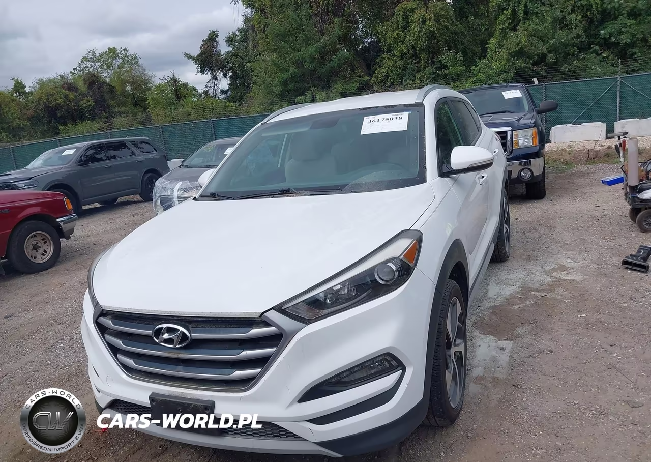 2017 Hyundai Tucson Sport VIN:KM8J3CA25HU379395 - 13