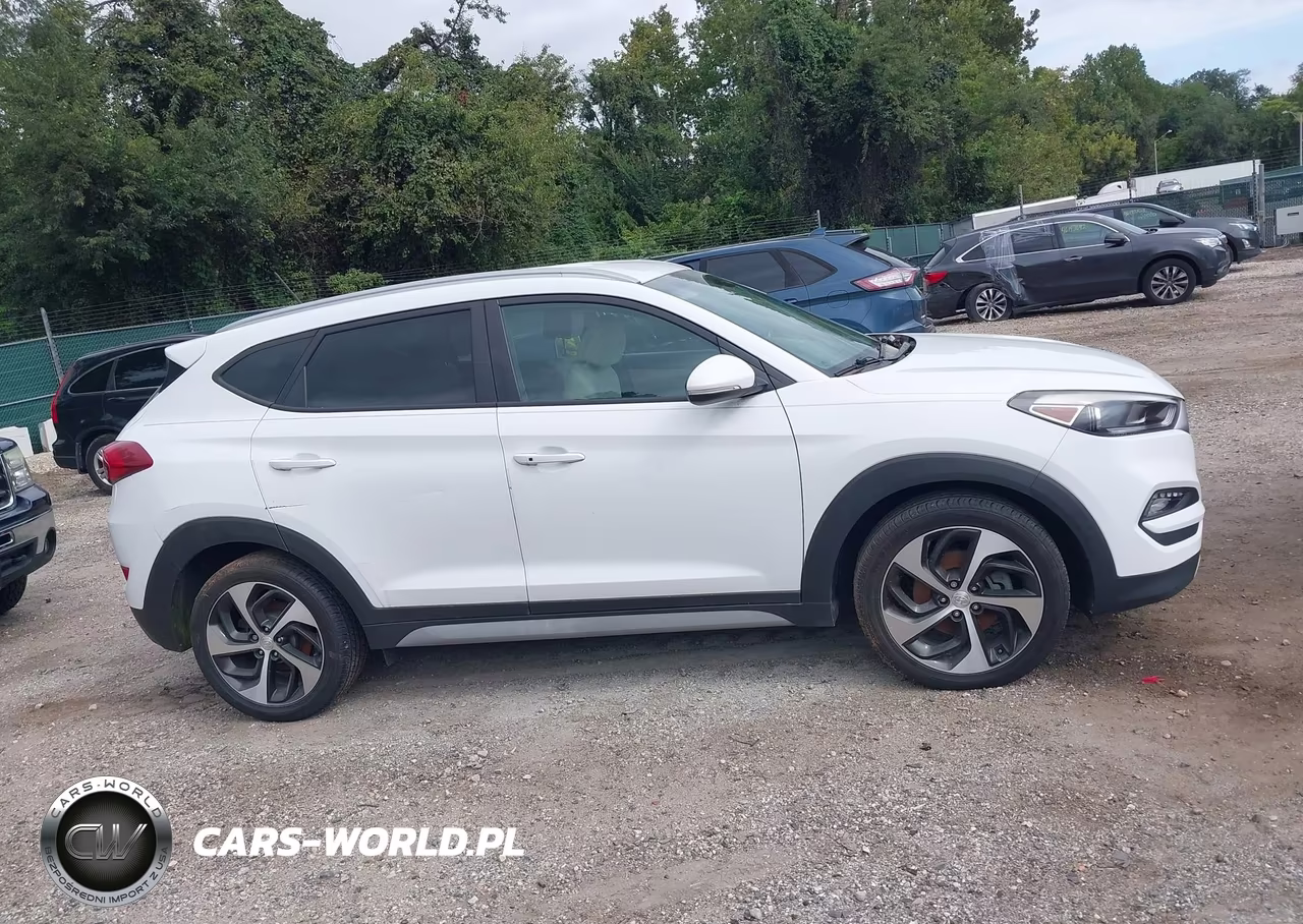 2017 Hyundai Tucson Sport VIN:KM8J3CA25HU379395 - 14