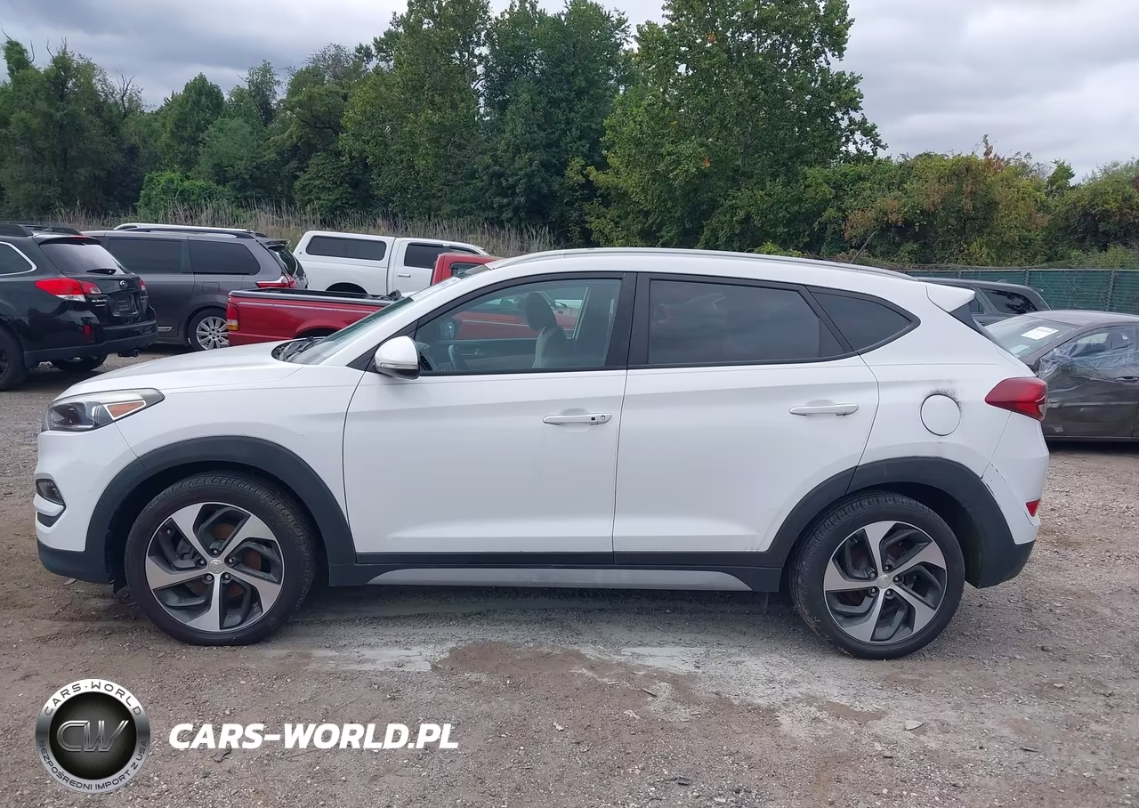 2017 Hyundai Tucson Sport VIN:KM8J3CA25HU379395 - 15