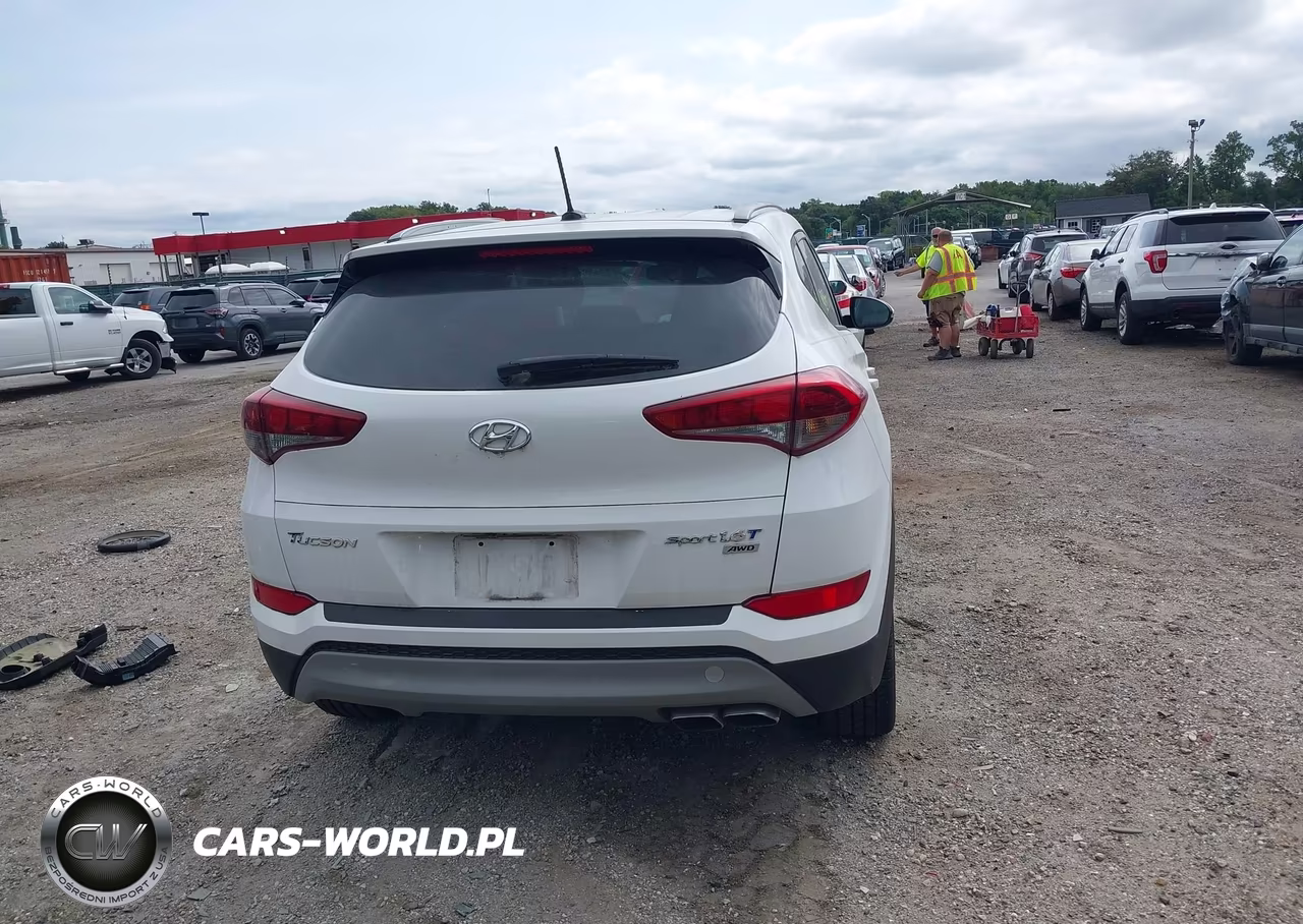 2017 Hyundai Tucson Sport VIN:KM8J3CA25HU379395 - 17
