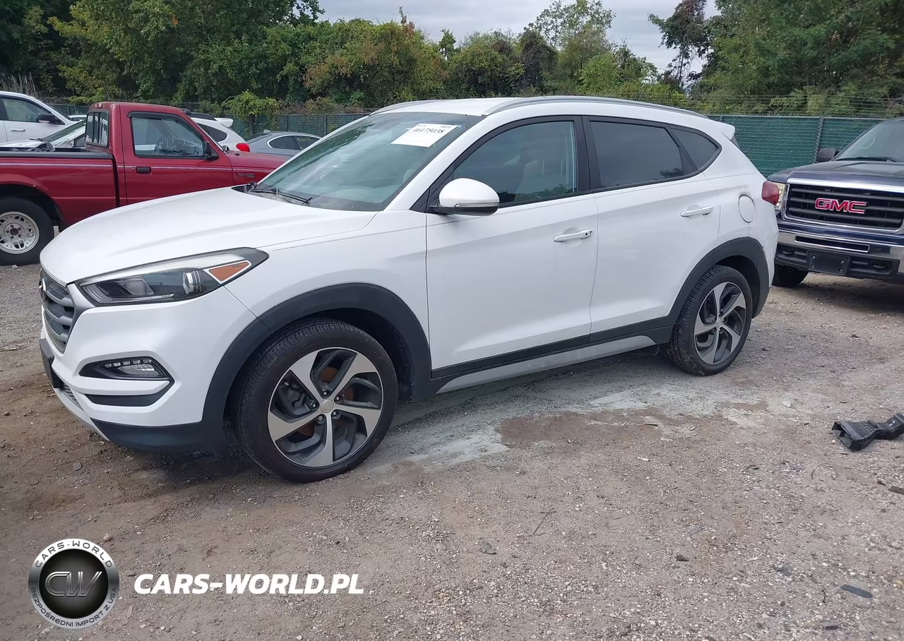 2017 Hyundai Tucson Sport VIN:KM8J3CA25HU379395 - 2