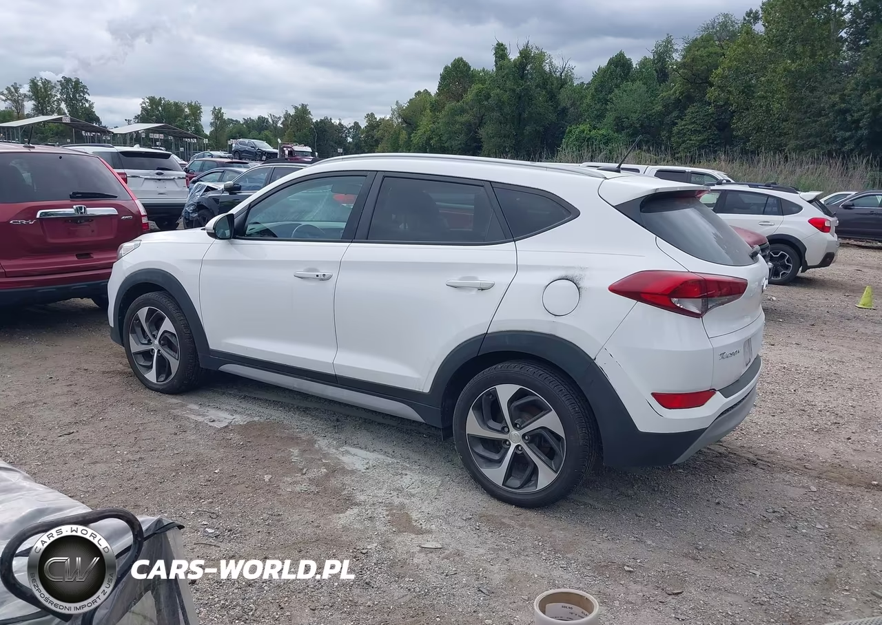 2017 Hyundai Tucson Sport VIN:KM8J3CA25HU379395 - 3