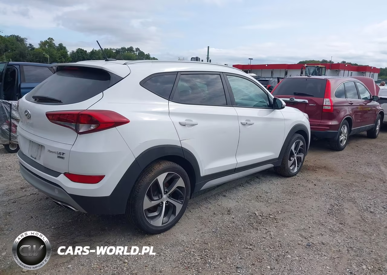2017 Hyundai Tucson Sport VIN:KM8J3CA25HU379395 - 4