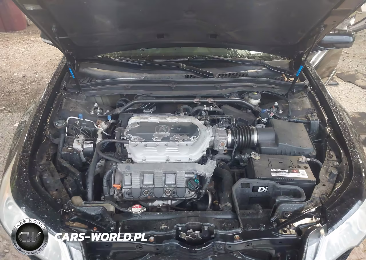2009 Acura Tl 3.7 VIN:19UUA96519A000443 - 10