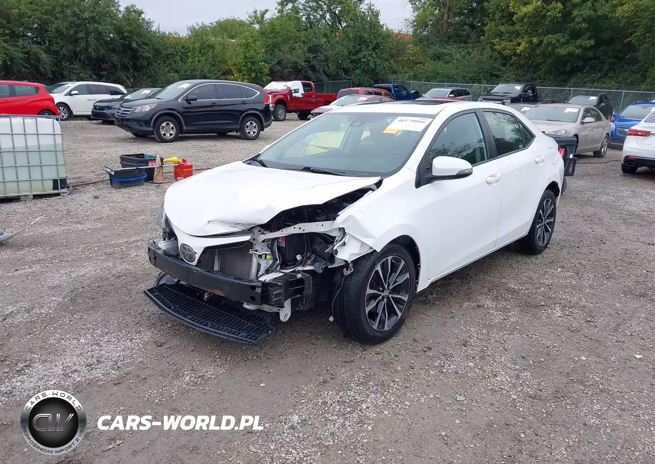 2019 Toyota Corolla Se VIN:2T1BURHE0KC162978 - 2