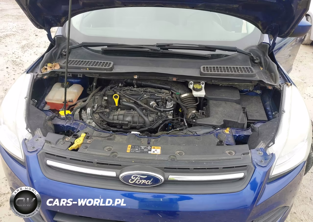 2015 Ford Escape Se VIN:1FMCU0GX9FUA59131 - 10