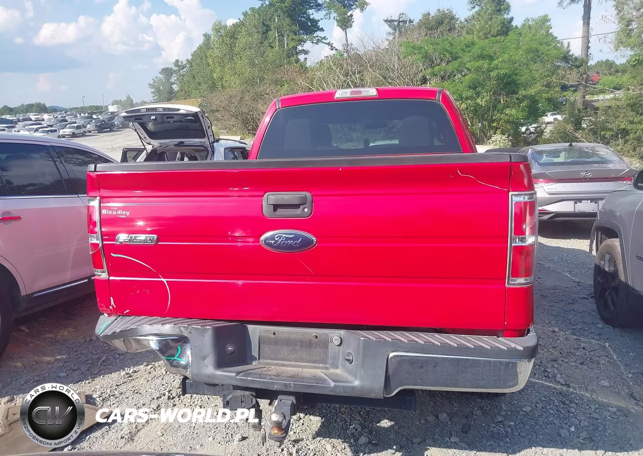 2010 Ford F-150 Fx2 Sport-Stx-Xl-Xlt VIN:1FTEX1C81AFC36700 - 16