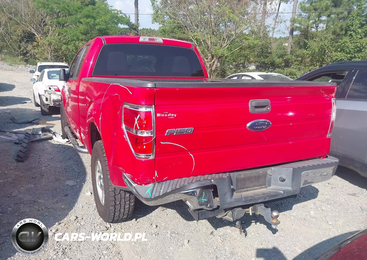 2010 Ford F-150 Fx2 Sport-Stx-Xl-Xlt VIN:1FTEX1C81AFC36700 - 3