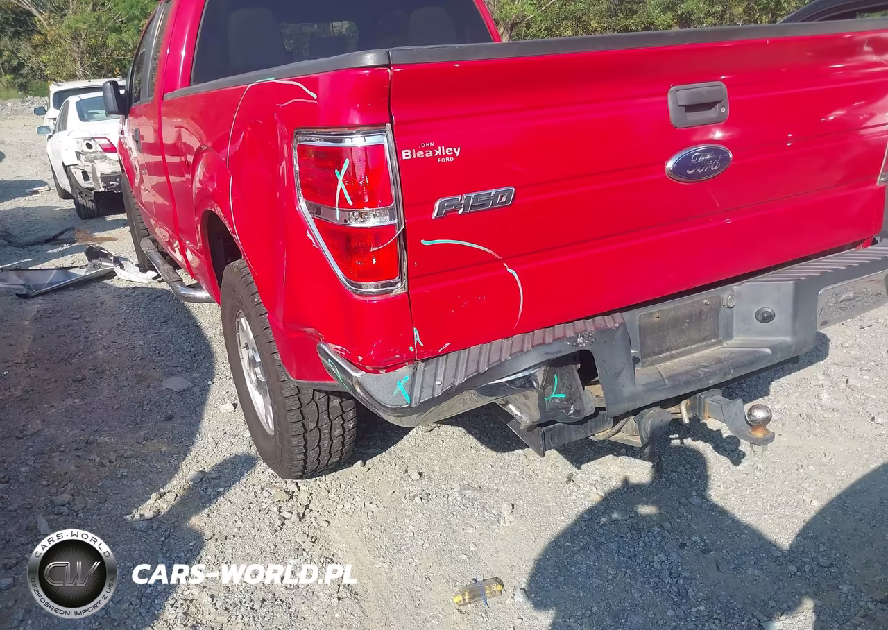 2010 Ford F-150 Fx2 Sport-Stx-Xl-Xlt VIN:1FTEX1C81AFC36700 - 6
