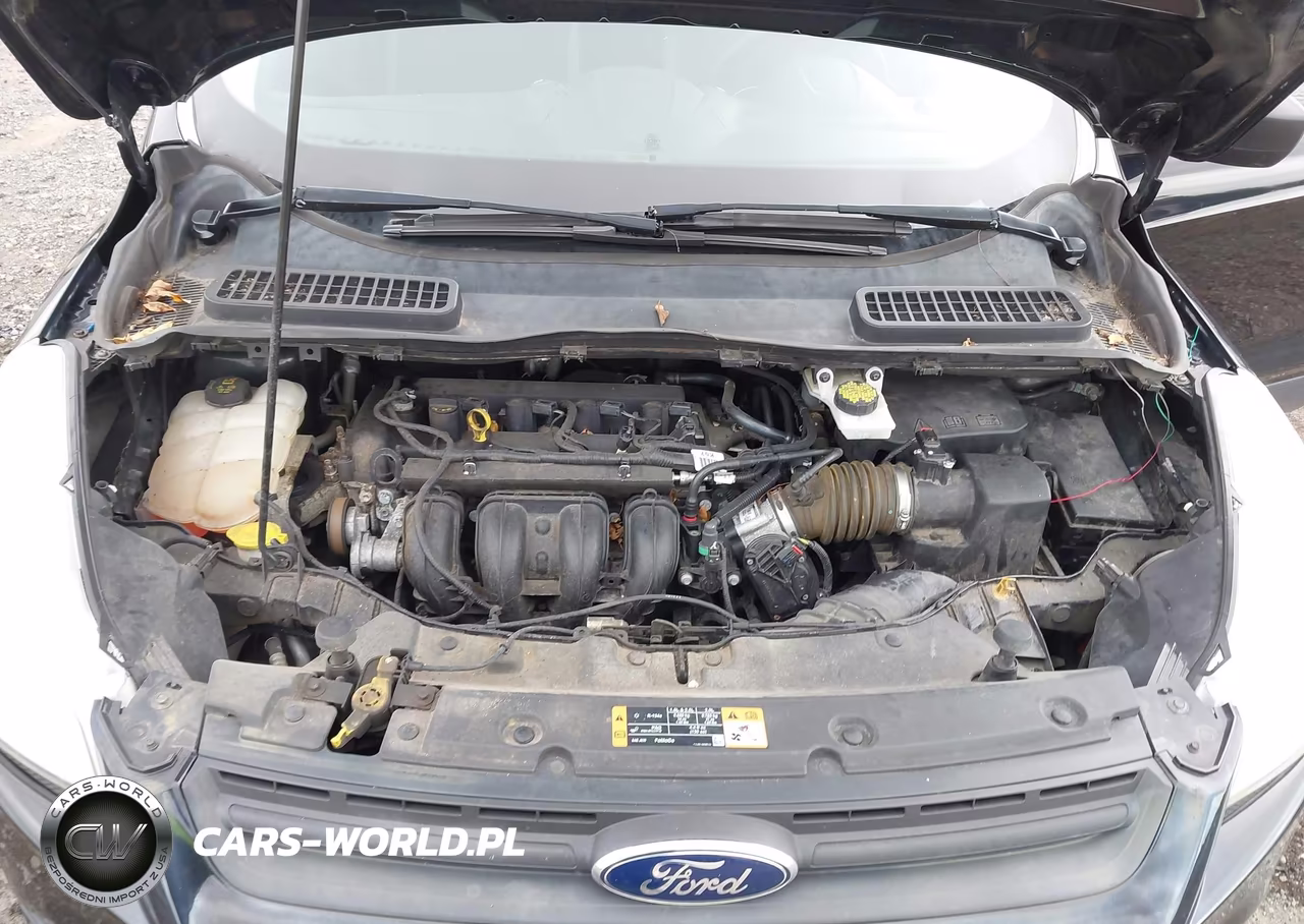 2016 Ford Escape S VIN:1FMCU0F7XGUC04289 - 10