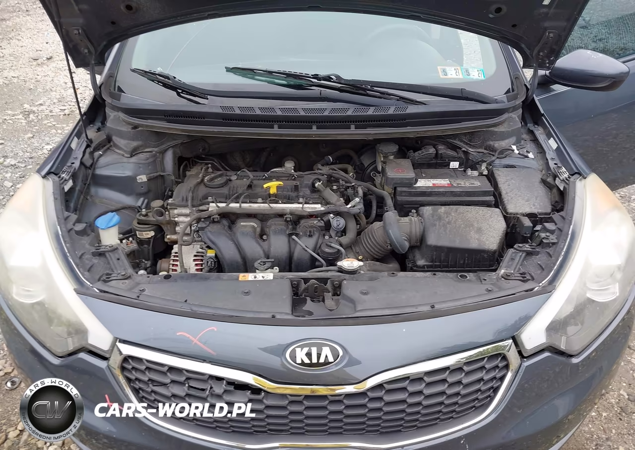 2016 Kia Forte Lx VIN:KNAFK4A64G5563481 - 10