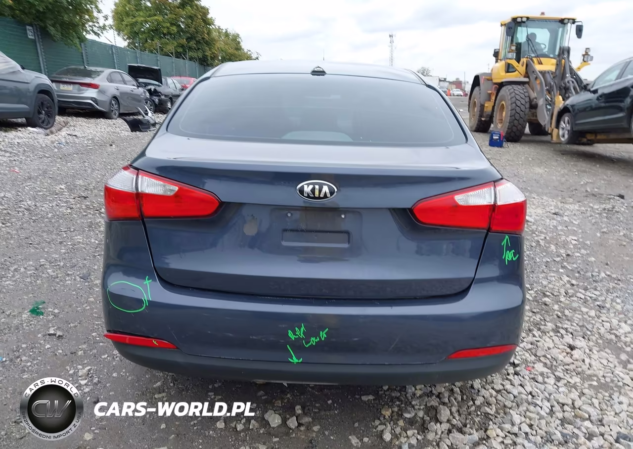 2016 Kia Forte Lx VIN:KNAFK4A64G5563481 - 16
