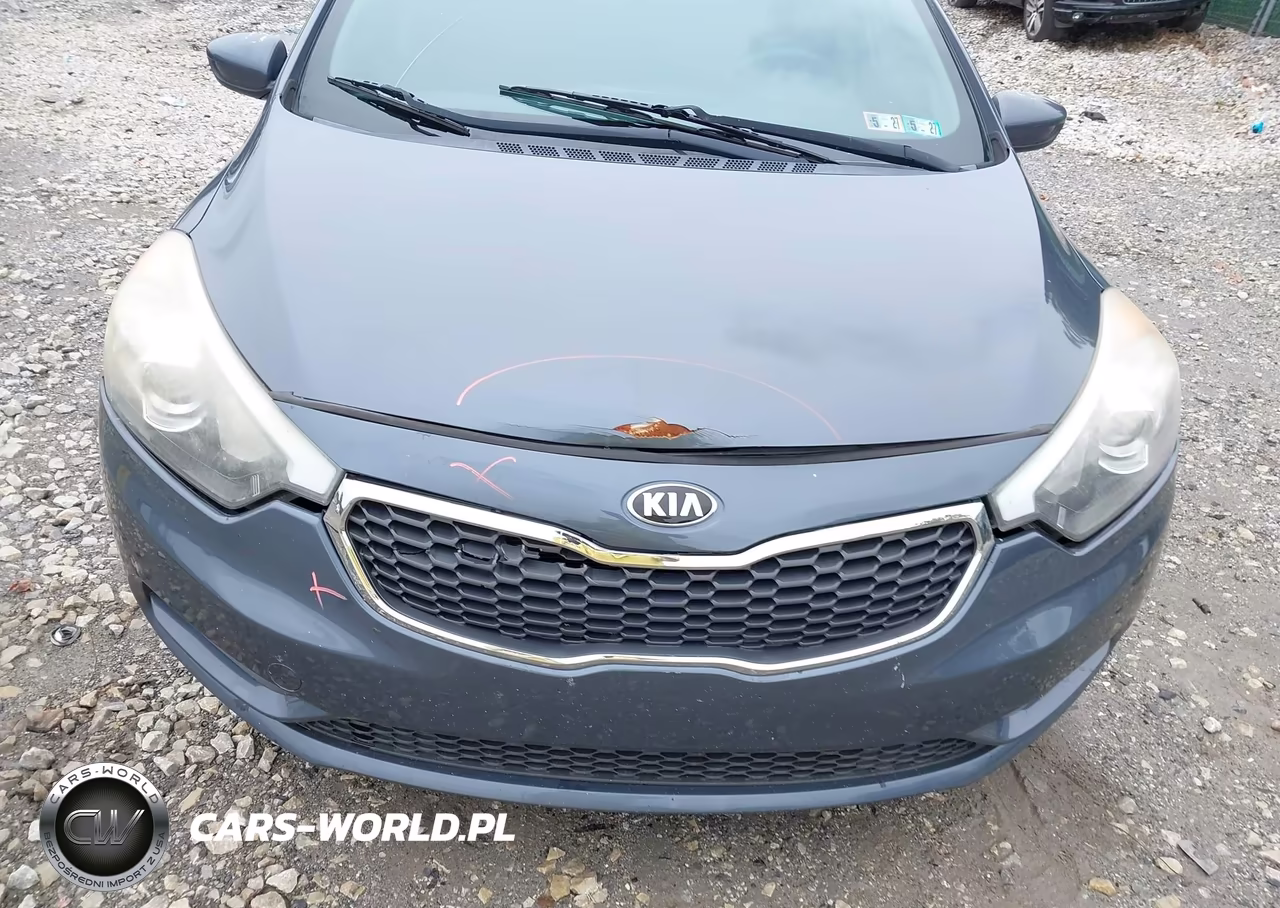 2016 Kia Forte Lx VIN:KNAFK4A64G5563481 - 6