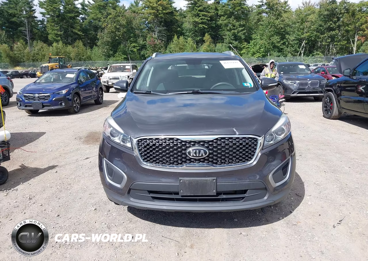 2017 Kia Sorento 2.4L Lx VIN:5XYPGDA34HG337948 - 12