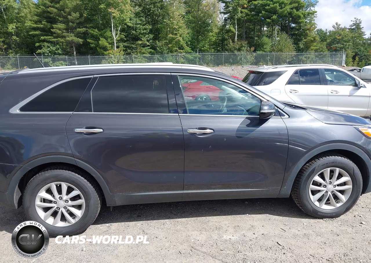 2017 Kia Sorento 2.4L Lx VIN:5XYPGDA34HG337948 - 13